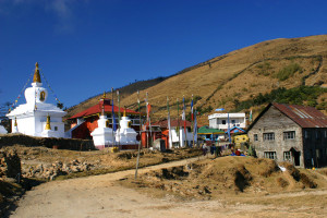 Napli Tea comes from eastern Nepal at the foothills of Sandakphu peak.